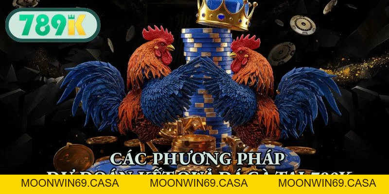 Đá Gà 789K - Đấu Trường Sôi Động, Cá Cược Hấp Dẫn 2026